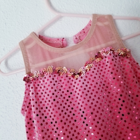 A WISH COME TRUE Gala Pink Ballet Leotard Tutu Dress Dance - Picture 7 of 15